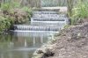 woods 037a.jpg