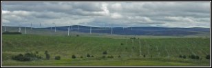 030725-5.jpg