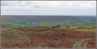 BT2026-NuttersOnTheMoors.jpg