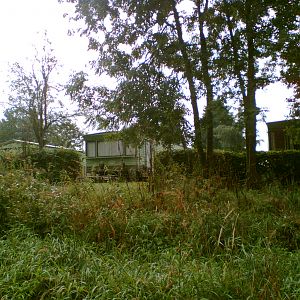 Image007