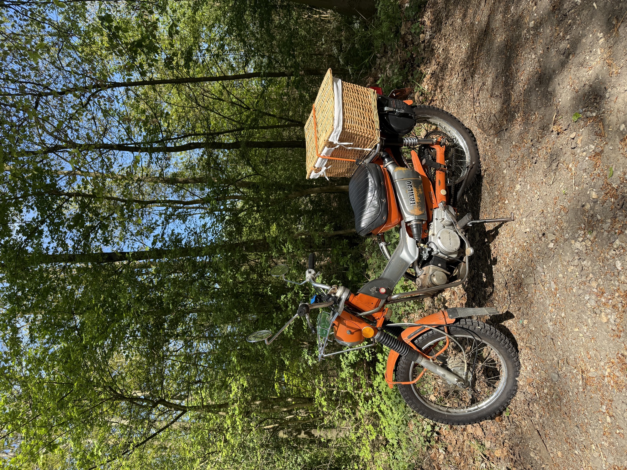 CT90-bosjes.jpg